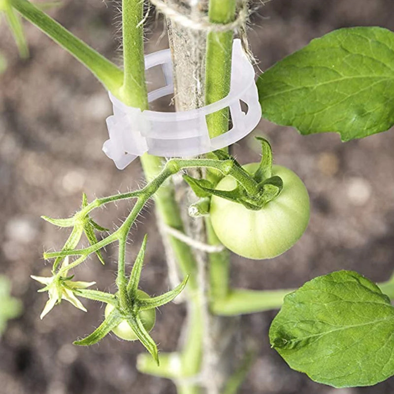 PlantClips - Reusable Plant Support And Fixing Clips