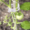 PlantClips - Reusable Plant Support And Fixing Clips
