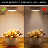 OVERNIGHT™ SMART Ultra Sensor Led | USB Rechargeable