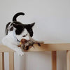 Catfri® BirdToy: Interactive Chirping Bird Toy For Cats
