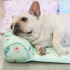 DogCatFri™ CoolMat: Cooling Mat For Dogs and Cats