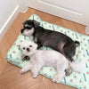 DogCatFri™ CoolMat: Cooling Mat For Dogs and Cats