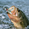 FlyBait - Artificial Fly Fishing Bait