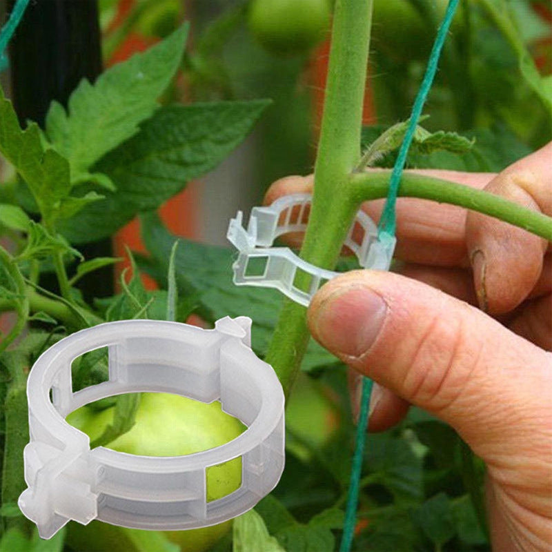PlantClips - Reusable Plant Support And Fixing Clips