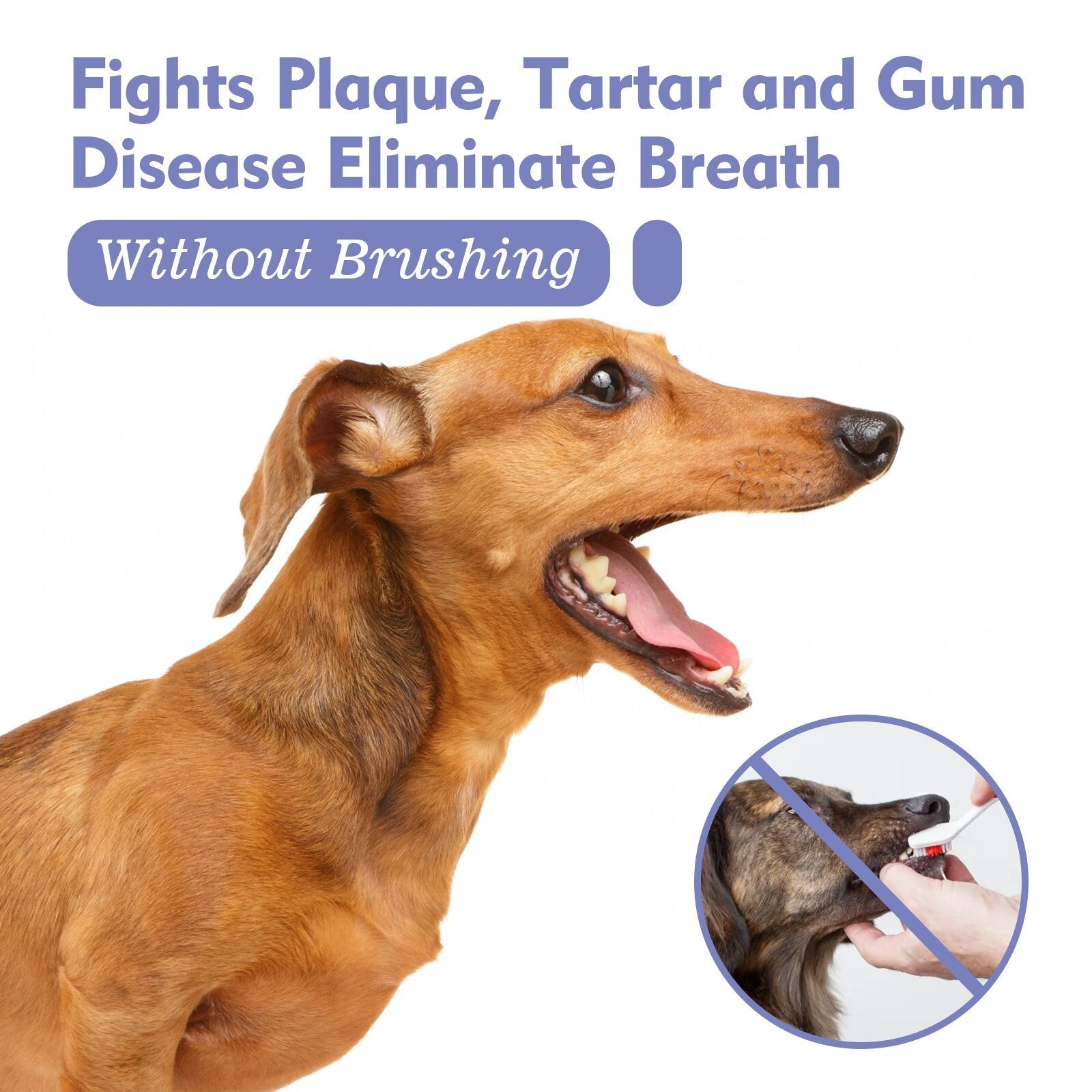 DogCatFri™ PetSpray: Pet Breath Freshener Spray