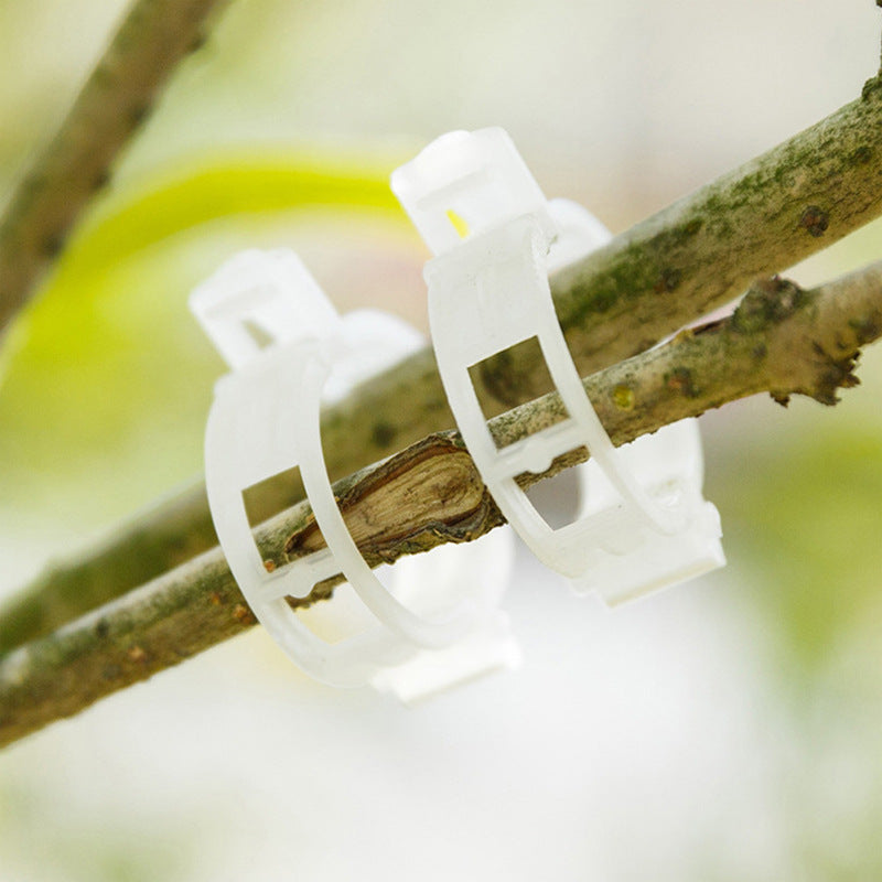 PlantClips - Reusable Plant Support And Fixing Clips