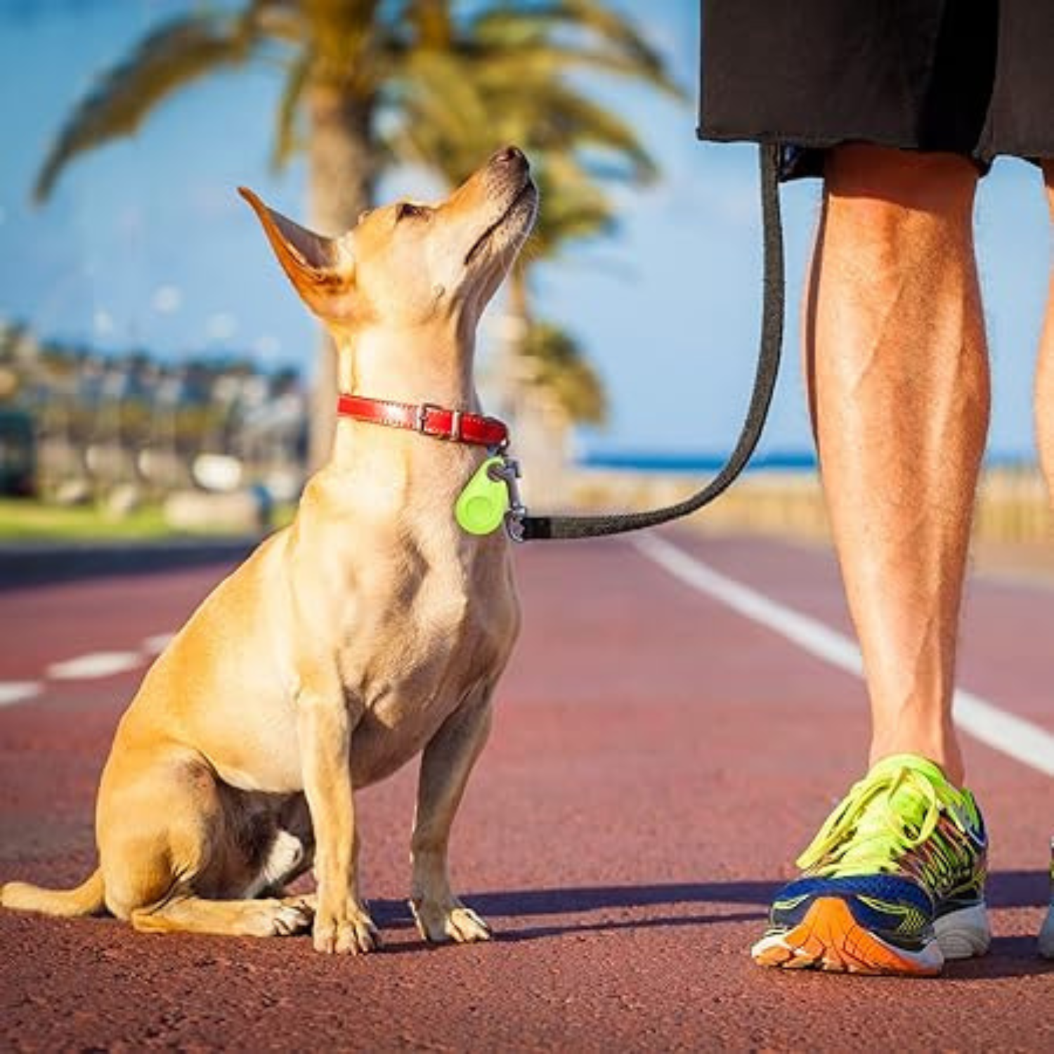 DogCatFri™ PetTracker - Bluetooth Pet Wireless Tracker