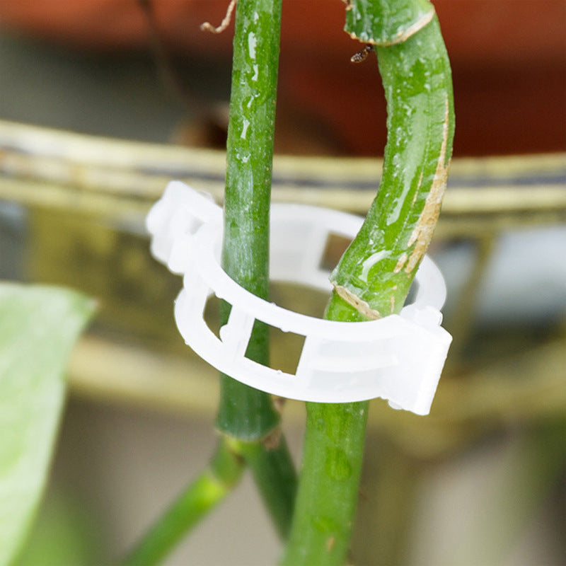 PlantClips - Reusable Plant Support And Fixing Clips