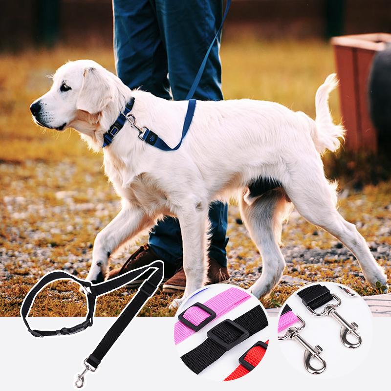 DogCatFri™ CarLeash 1+1 FREE: Adjustable Safety Pet Car Seat Leash