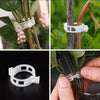 PlantClips - Reusable Plant Support And Fixing Clips