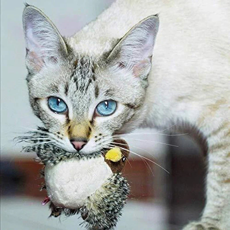 Catfri® BirdToy: Interactive Chirping Bird Toy For Cats