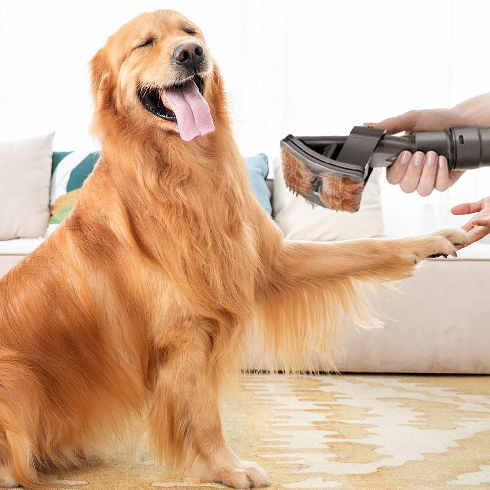 DogCatFri™ VacuumBrush - Pet Grooming Vacuum Cleaner Brush Tool