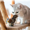 Catfri® BirdToy: Interactive Chirping Bird Toy For Cats