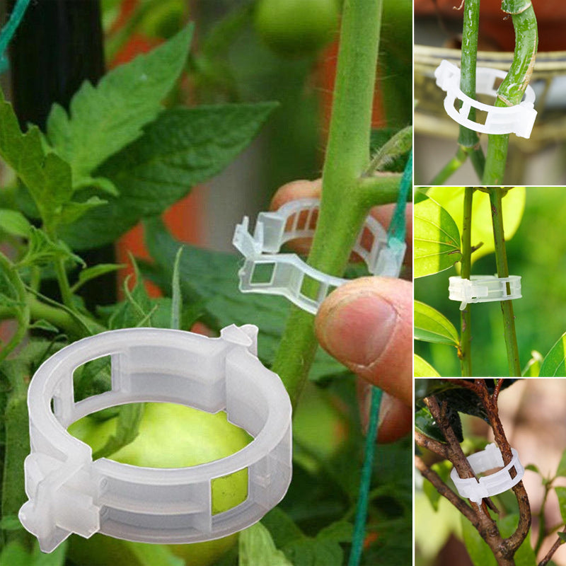 PlantClips - Reusable Plant Support And Fixing Clips