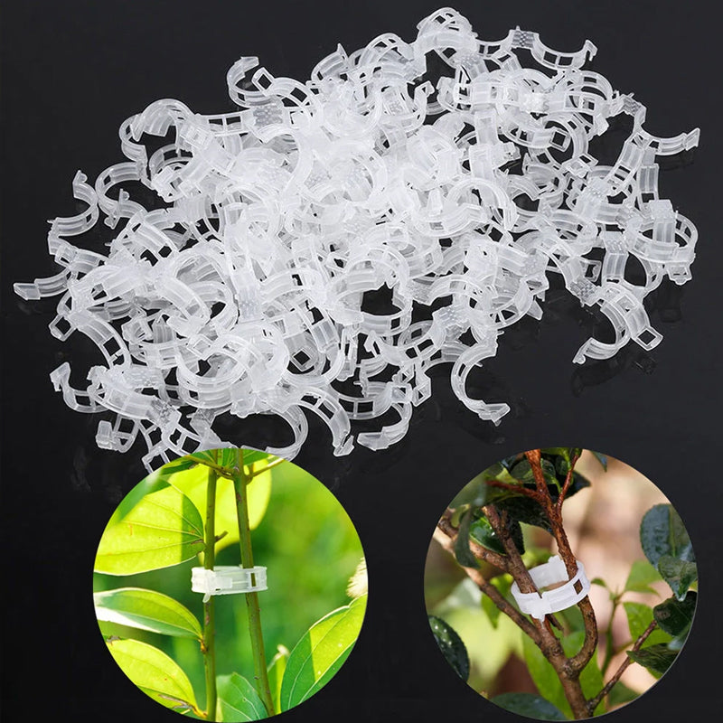 PlantClips - Reusable Plant Support And Fixing Clips