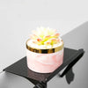 GlideHold® TopShelf: Multifunctional Screen Top Shelf Storage
