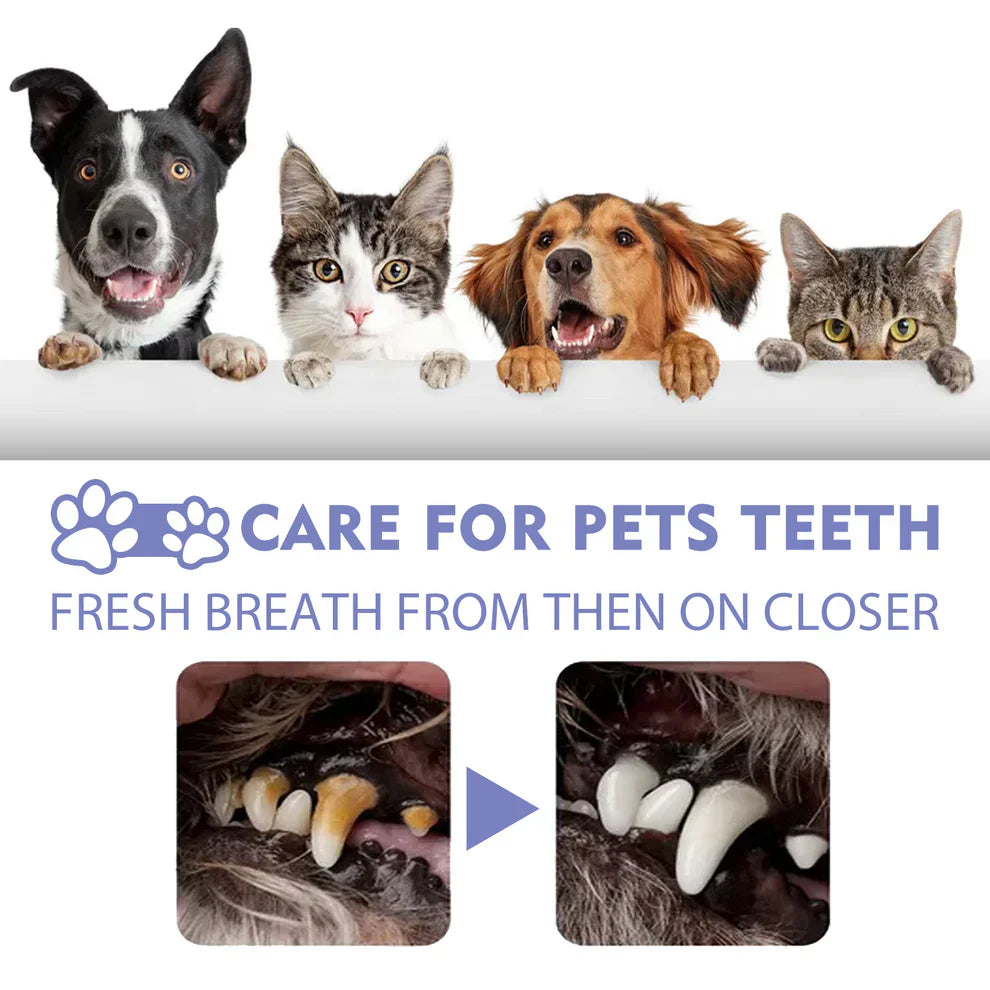 DogCatFri™ PetSpray: Pet Breath Freshener Spray