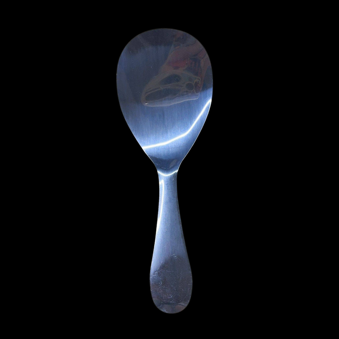 Globetrek° RiceSpoon - Non Stick Stainless Steel Rice Serving Spoon