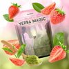 TeaPowder - Energy, Focus And Gut Health Magic Tea Powder