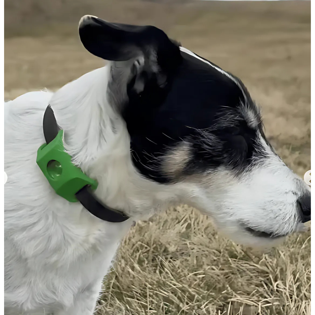 DogCatFri™ Anti-FleaPendant 1+1 FREE: Anti-Tick Anti-Flea Pendant Protection