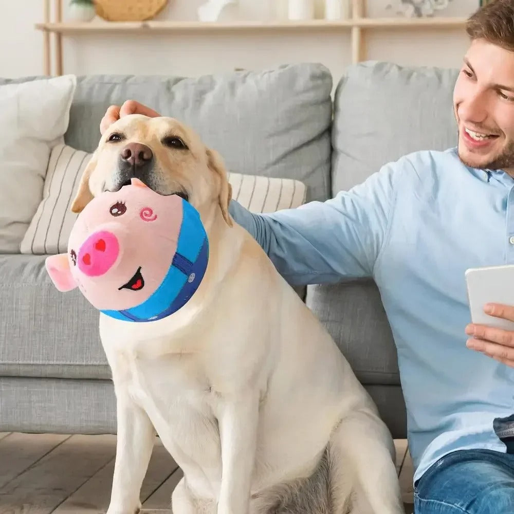 DogCatFri™ BouncingToy: Interactive Pet Bouncing Plush Toy Ball