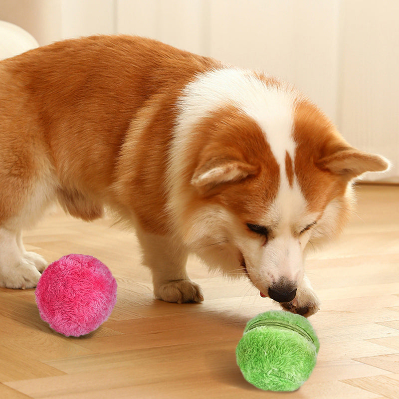 DogFri™ ActiveBall - Anti-Anxiety Automatic Rolling Ball