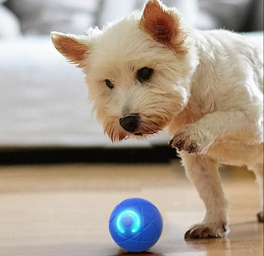 DogCatFri™ InteractiveBall: Rechargeable Interactive Pet Toy Ball