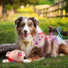 DogCatFri™ BouncingToy: Interactive Pet Bouncing Plush Toy Ball