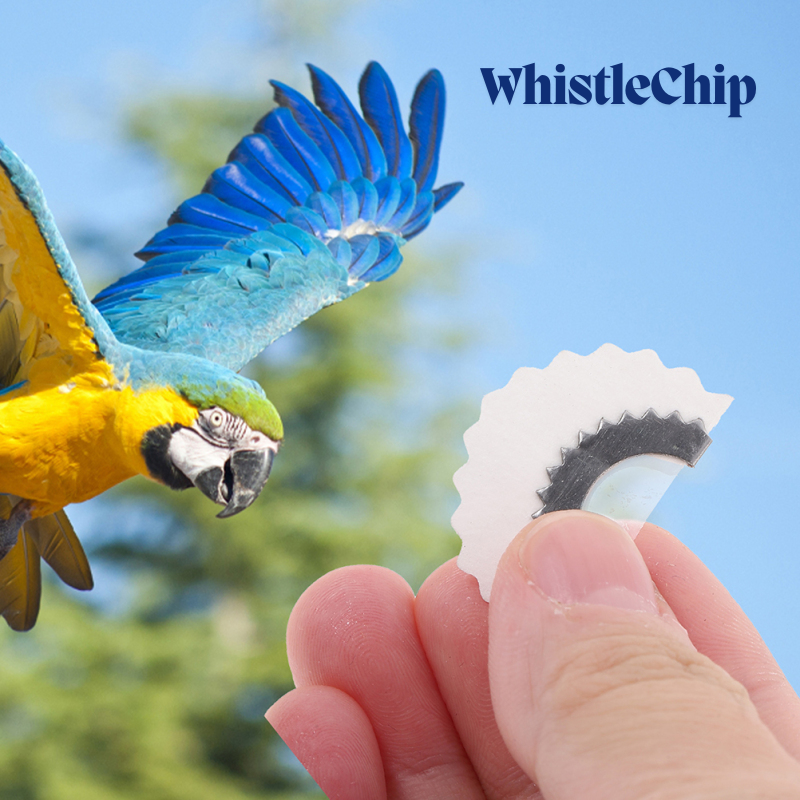 BirdWhistle 1+1 FREE – Mini Magic Birdcall Whistle Chip