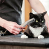 DogCatFri™ PetComb 1+1 FREE: Electric Pet Grooming Comb