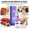 DogCatFri™ PetSpray: Pet Breath Freshener Spray