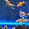 Ledsen™ GlowBubble: LED Aquarium Colorful Glow Bubble Light
