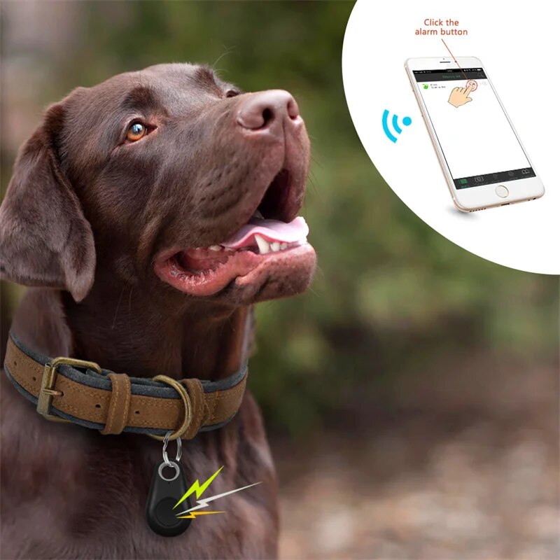 DogCatFri™ PetTracker - Bluetooth Pet Wireless Tracker